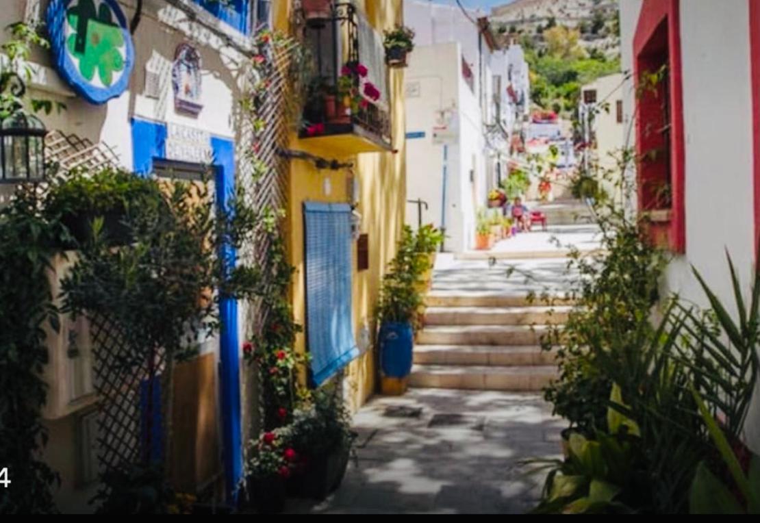 Willa Casita Del Flamingo En Casco Historico Alicante Zewnętrze zdjęcie