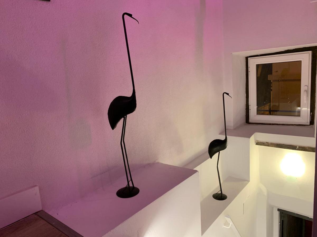 Willa Casita Del Flamingo En Casco Historico Alicante Zewnętrze zdjęcie